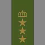 SwA - Överste - Öv - Colonel - Col (Sweden)