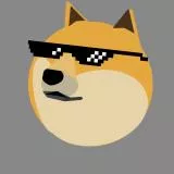 BonkDoge