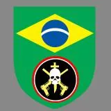 David leandro alvarenga gonçalves