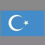 Flag of Uygur
