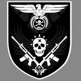 Shevron with skull and weapons