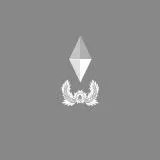 소위 계급장 (수정)