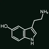 Serotonin