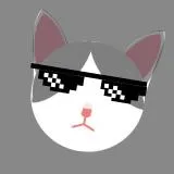 c253_cat