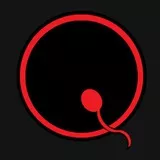 Queens of the Stone Age 