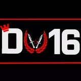 The division 16 clan emblem