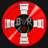 BWR Schweizer