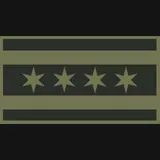 Chicago Flag (Subdued)