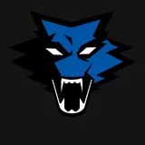 russian ghost recon wolf