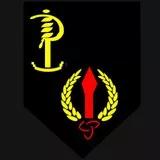 Irish Army Ranger Wing Logo