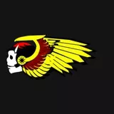 Hells Angels Logo