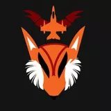 Fox & Fighter