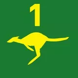 1st Cavalry Australian Army