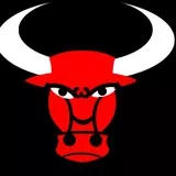 Chicago Bull