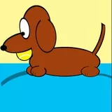 Dachshund