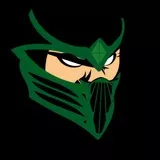 Mortal kombat Reptile 