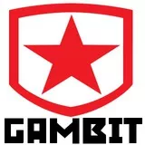 Gambit Gaming