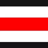 Scyag Belarusi (Flag of Belarus)