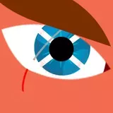 Scottish Saltire Eye