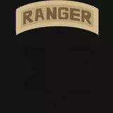 6th Infantry Division (Light) with Ranger Tab - Subdued (Desert)