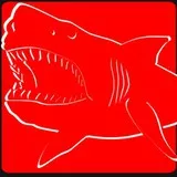 shark megalodon profil