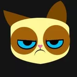 Grumpy cat 20 layers (Fixed)