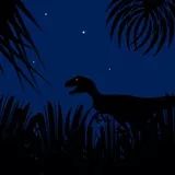 Stalker in the night