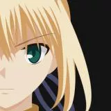 Fate/stay night　セイバー