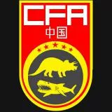 中国足球协会 CFA