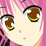 沢木椿 アップ版