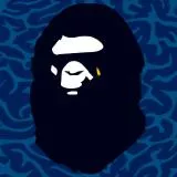 BAPE - A Bathing Ape 「Blue Camo Variant」