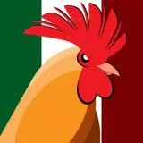 gallo mexicano