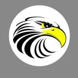 Eagle Badge