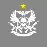 Assault Emblem 1