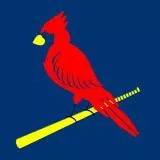 St. Louis Cardinals Bird on Bat