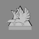 Roughneck Ravens - MGSV