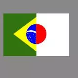 Metade brasil e japão