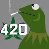 kermit smoking green 420