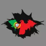 PORTUGAL FLAG