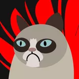 Grumpy cat