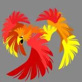 phoenix 20 layers non premium