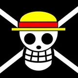 ONE PIECE LOGO 20 layers 