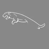 Jaguar Logo