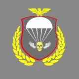 Airborne Div
