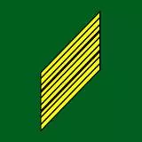49 Master Sergeant