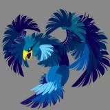 Blue Phoenix