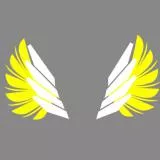 Mercy Wings
