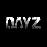 dayz