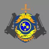 S.T.A.R.S. BADGE 01