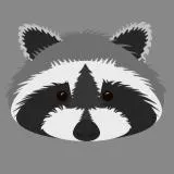 Raccoon Face